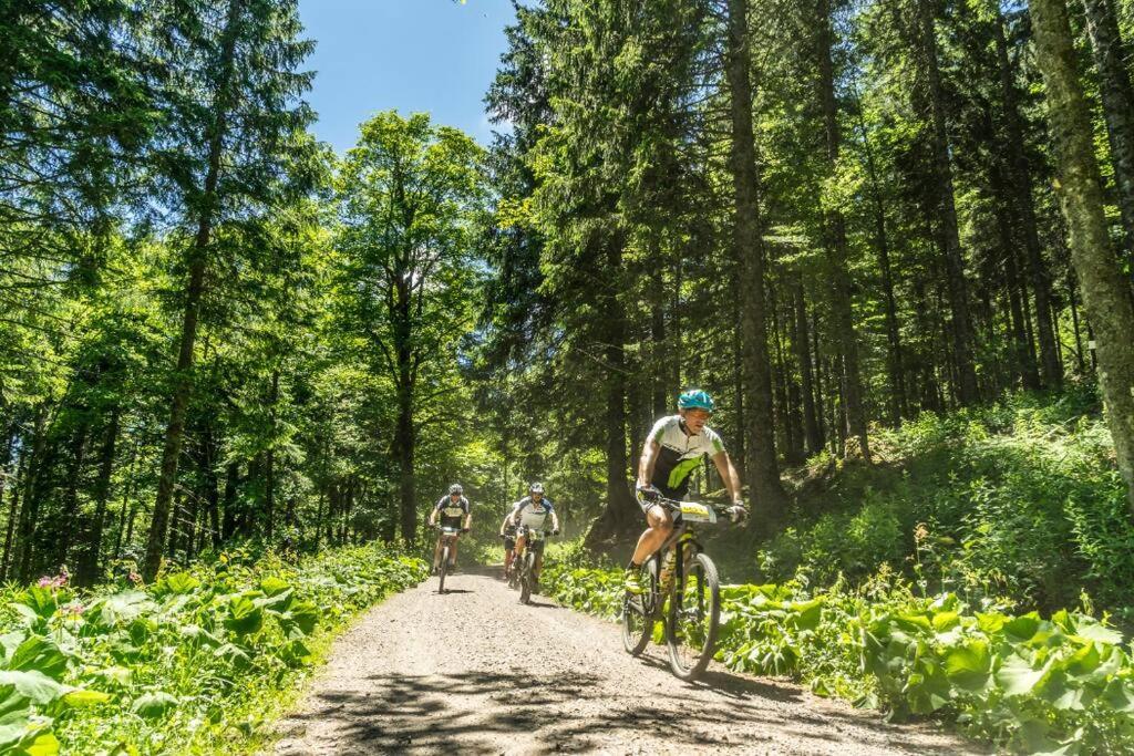 Waldoase Titisee Екстериор снимка