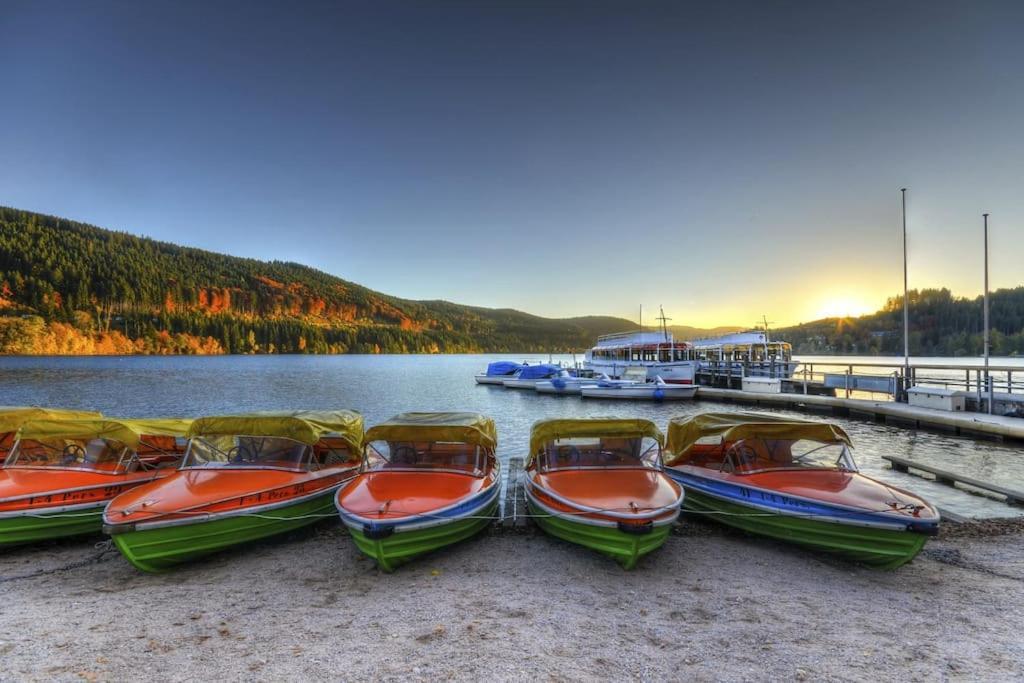 Waldoase Titisee Екстериор снимка