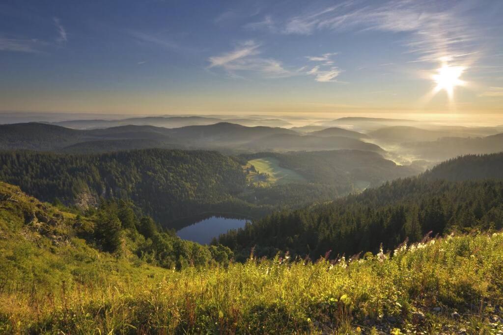 Waldoase Titisee Екстериор снимка