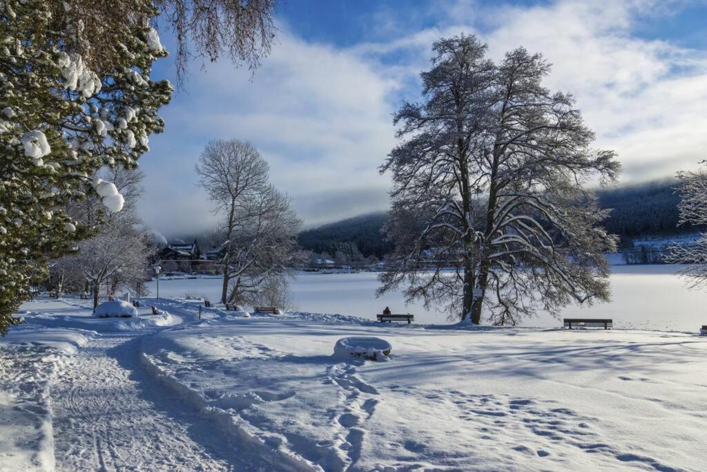 Waldoase Titisee Екстериор снимка